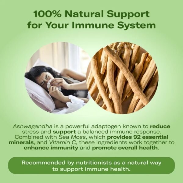 Natural Immune support (Mango) - Image 4